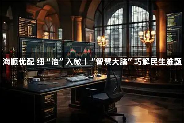 海顺优配 细“治”入微丨“智慧大脑”巧解民生难题