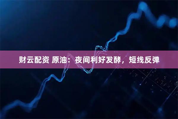财云配资 原油：夜间利好发酵，短线反弹
